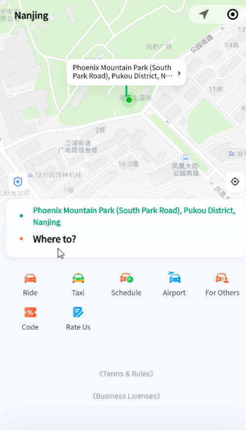 Didi 01N.png